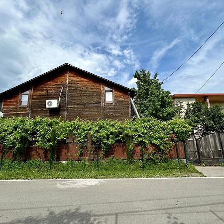 ❆Cozy, 4 Br. Villa In Ananuri❆ Екстер'єр фото