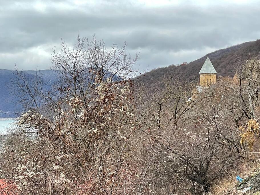 ❆Cozy, 4 Br. Villa In Ananuri❆ Екстер'єр фото